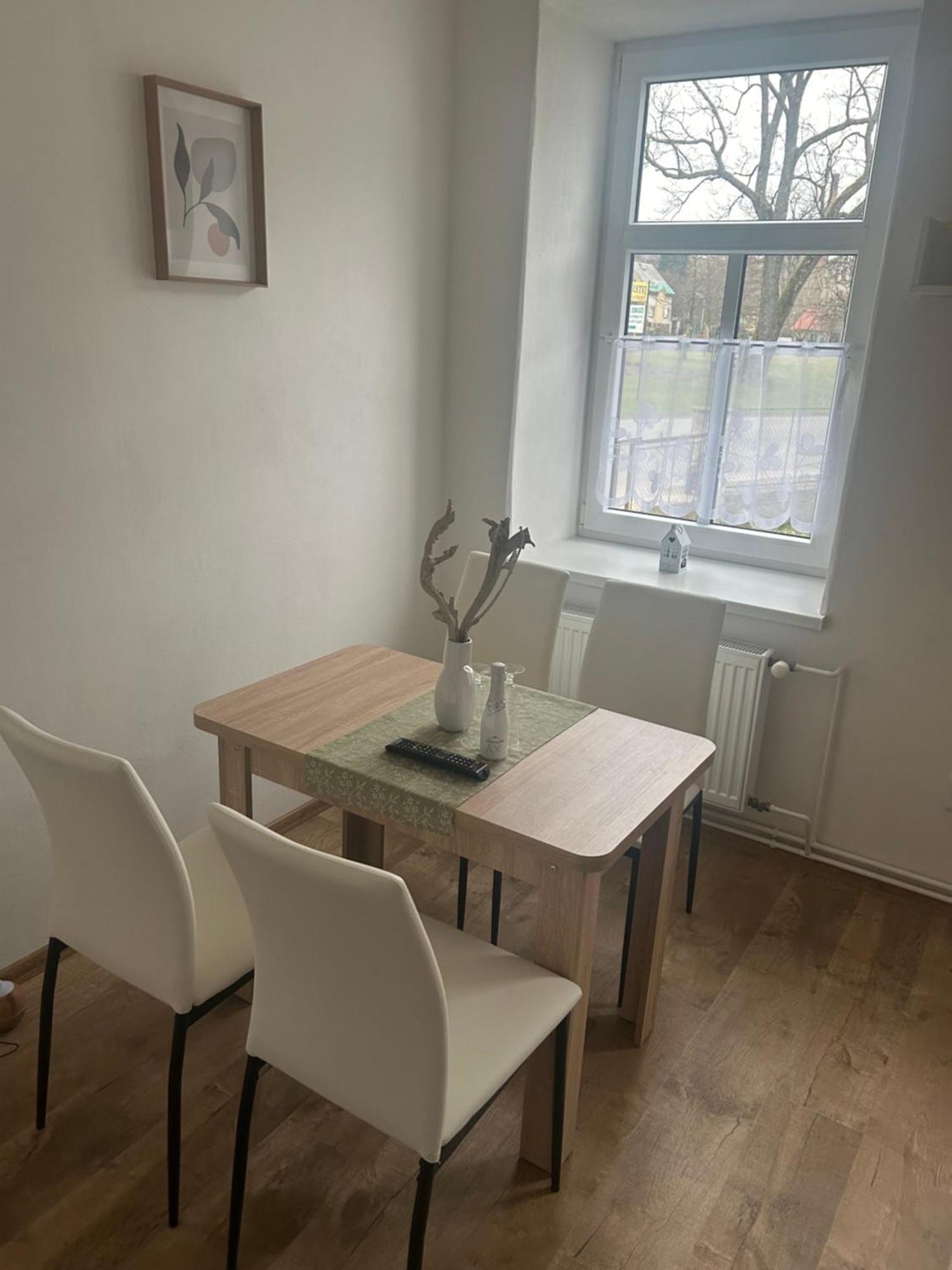 Apartment Krkovicka